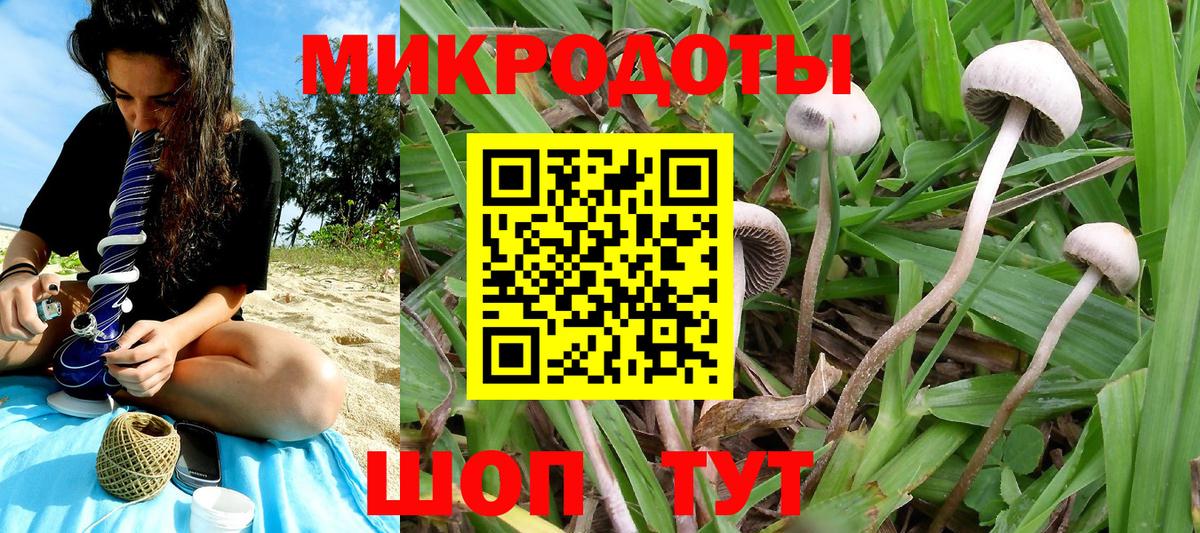 Среднеуральск  Галлюциногенные грибы мухоморы  Вход с VPN 